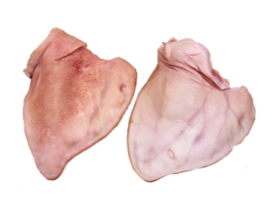 pig ear